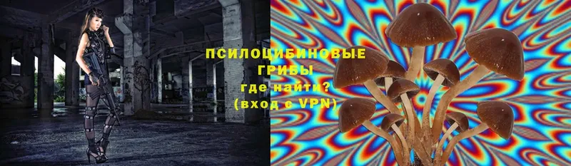 darknet формула  Вилюйск  Псилоцибиновые грибы мухоморы 